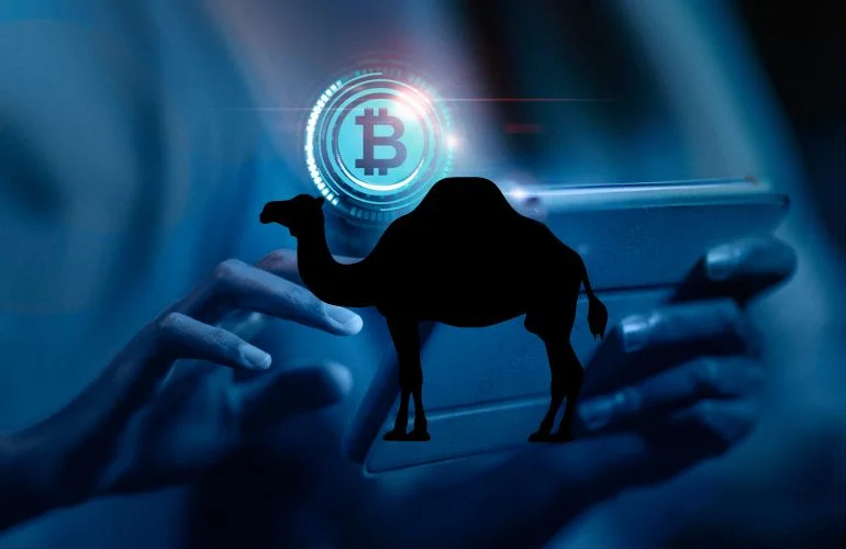 Camel Activate Single Crypto